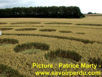 Avebury Stone Circle, Wiltshire crop circle, aerial photo 79